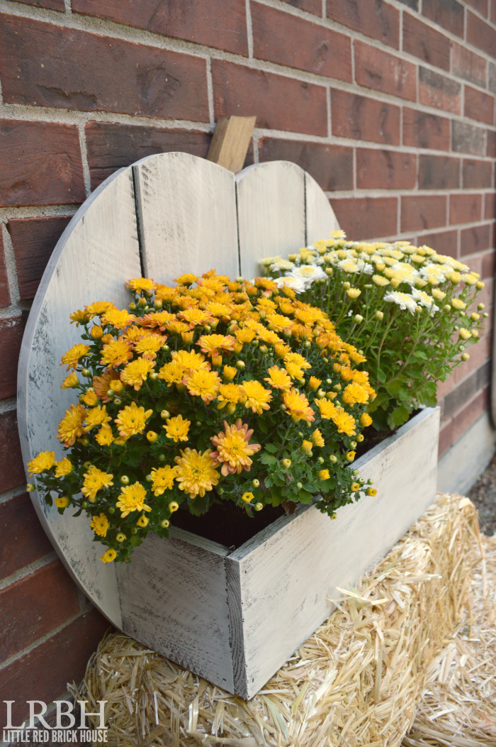 Rustic Pumpkin Stand for Fall Flowers | LITTLE RED BRICK HOUSE